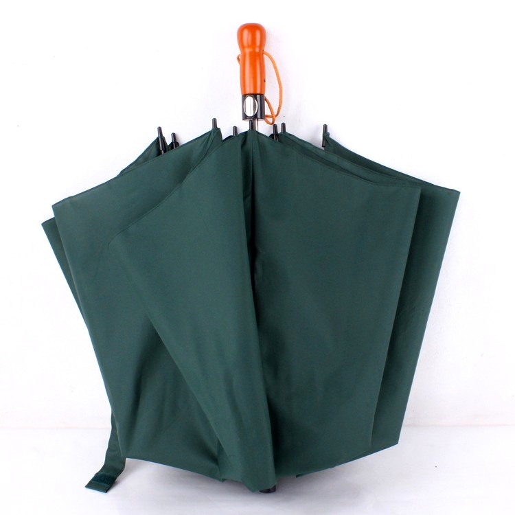 automatic 2 foldable umbrella