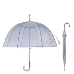 PVC transparent umbrella