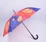 landscap printed umbrella
