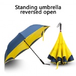 reversed umbrella